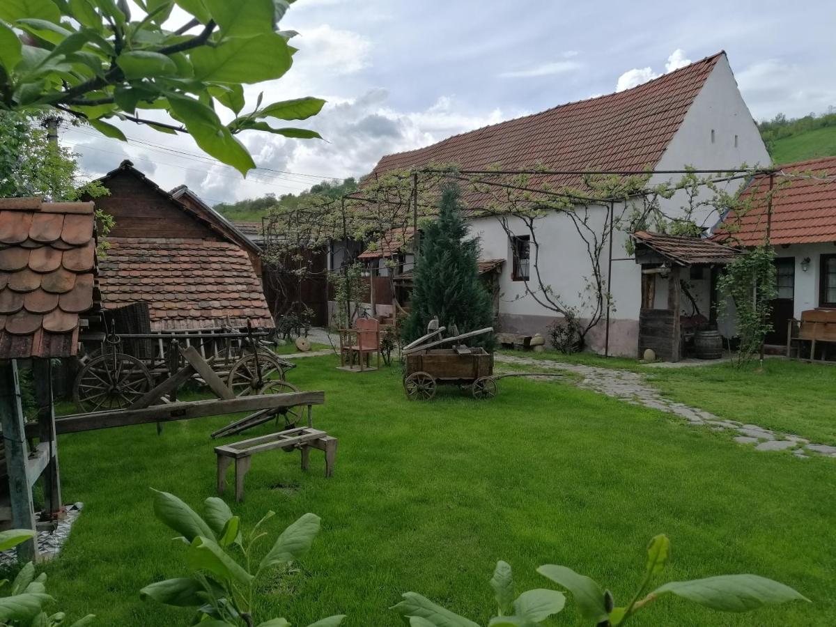 Casa Traditionala Transilvaneana Rucar  Exterior foto
